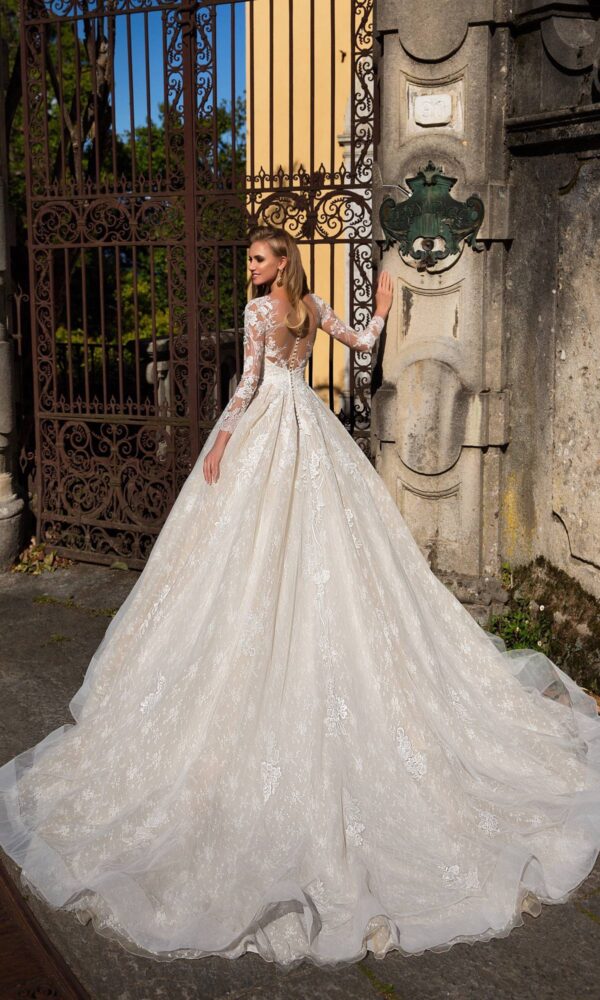 Mystery Darcy 16863 (2)